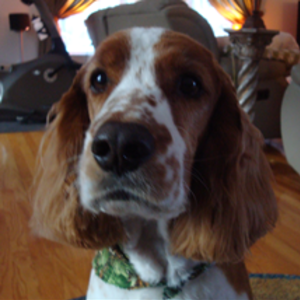 LanceCrowe-a0e7's avatar